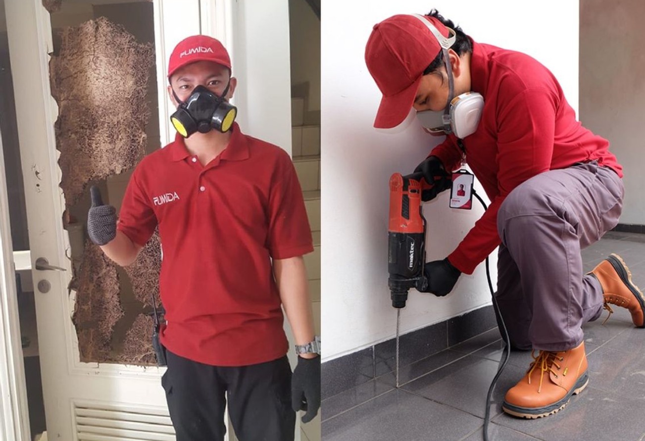 Tips Mengatasi Serangan Rayap yang Bersarang di Dapur